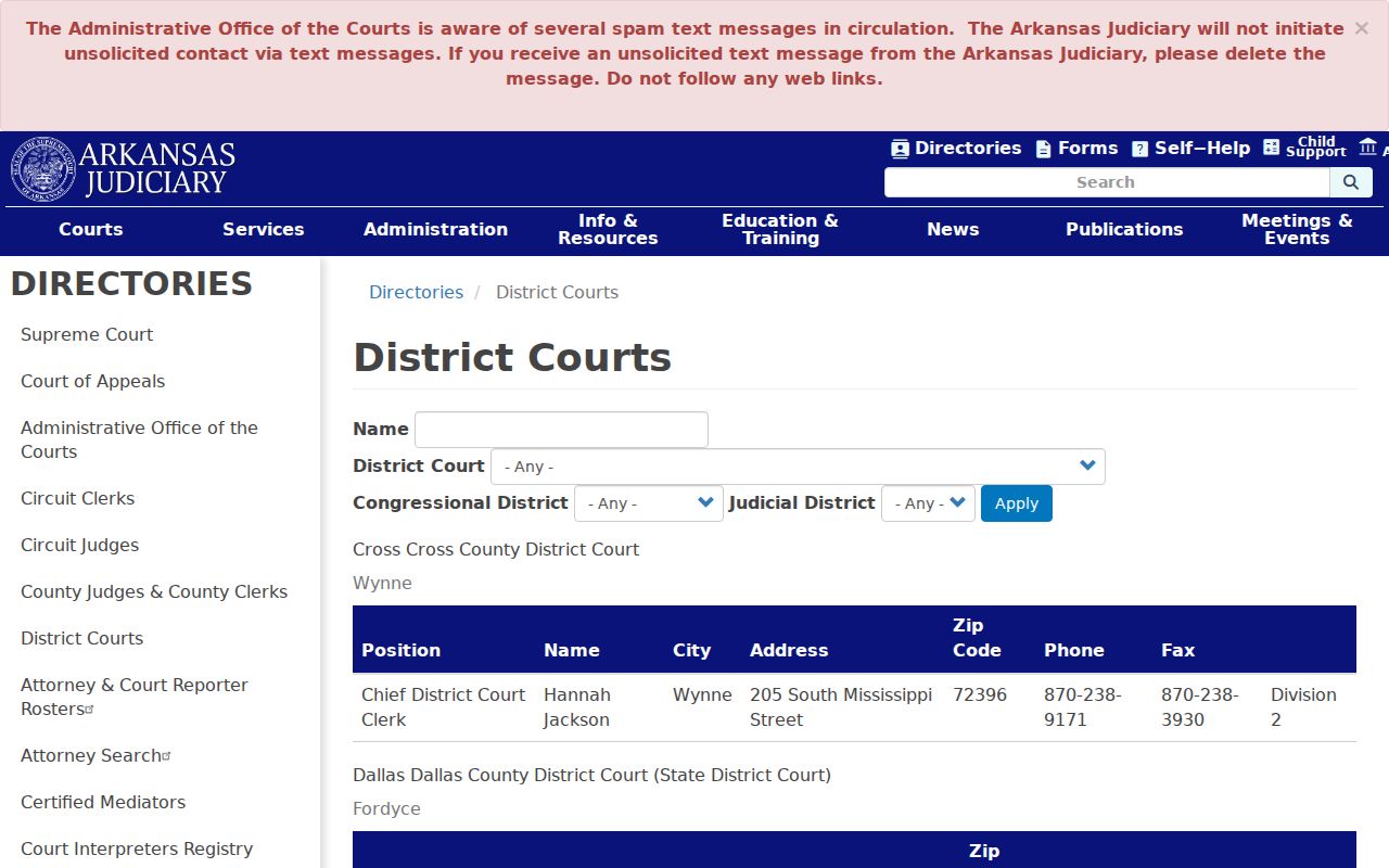 Dallas County case search District Court directory