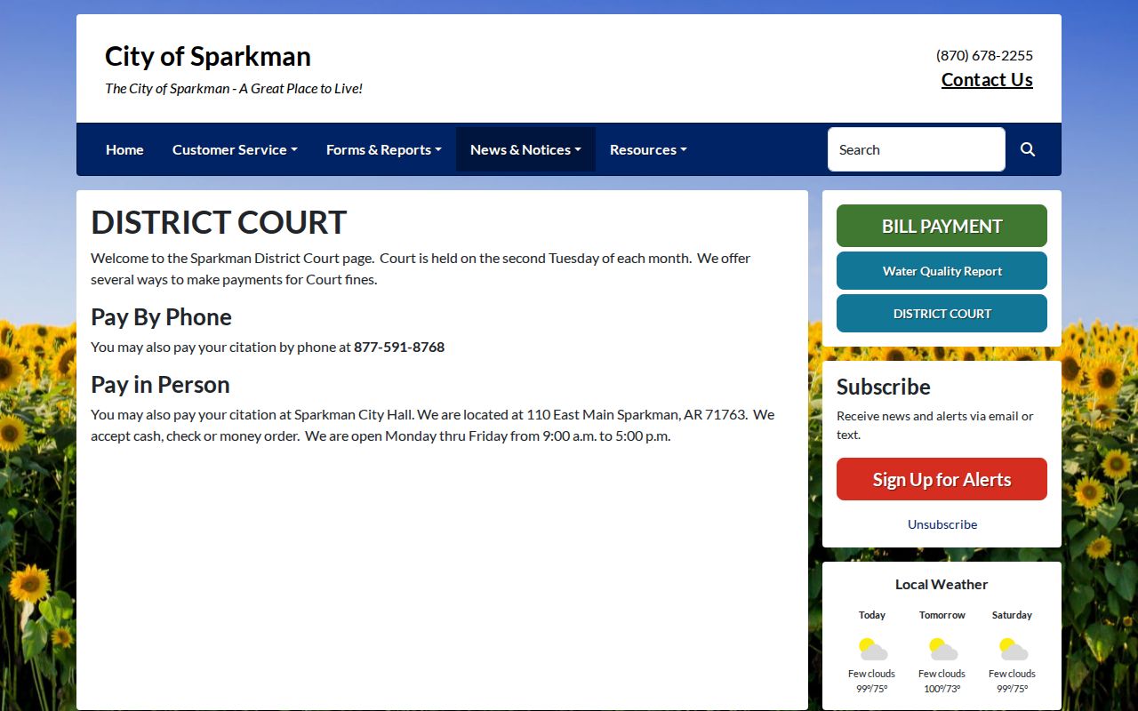 Dallas County traffic court records Sparkman schedule and payment page